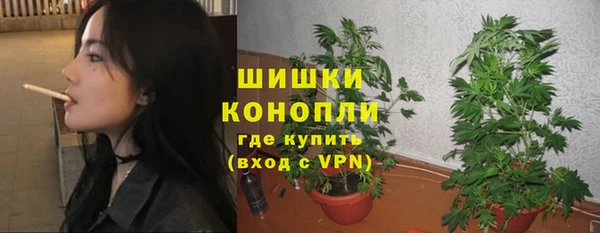 кокс Ростов