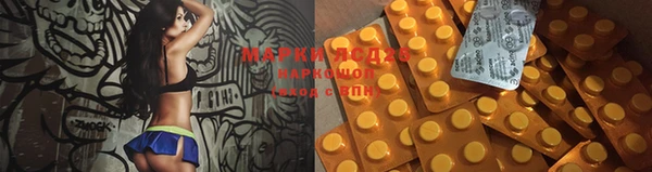 шишки Рославль