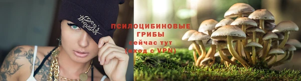 mdpv Пролетарск