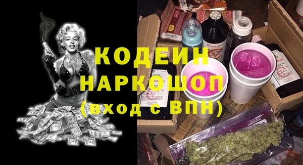 шишки Рославль