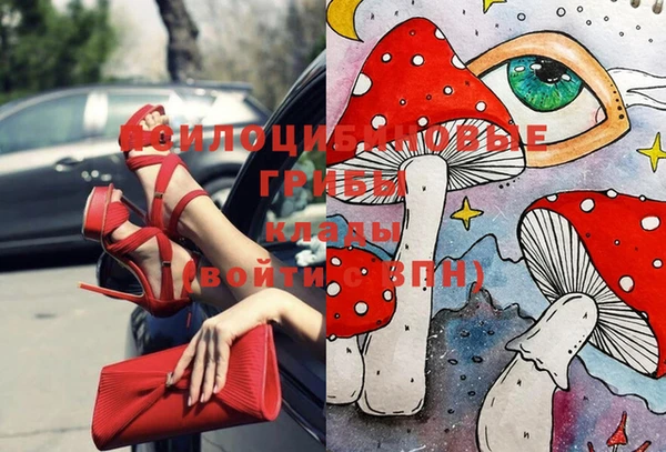 кокс Ростов