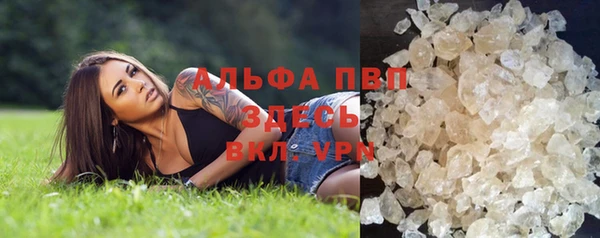 дмт Россошь